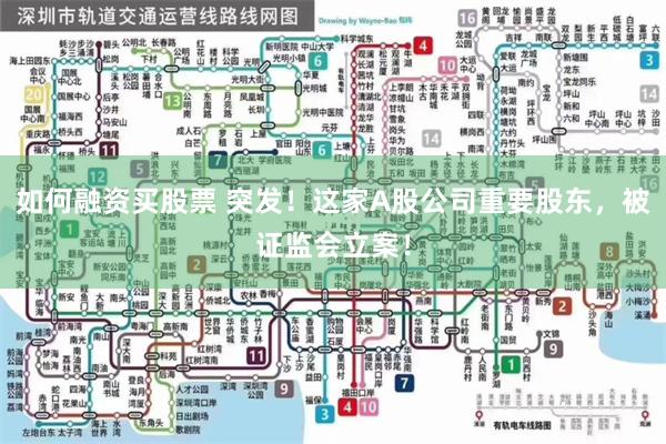 如何融资买股票 突发！这家A股公司重要股东，被证监会立案！