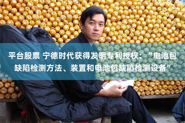 平台股票 宁德时代获得发明专利授权：“电池包缺陷检测方法、装置和电池包缺陷检测设备”