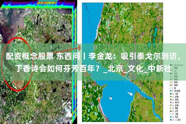 配资概念股票 东西问丨李金龙：吸引泰戈尔到访，丁香诗会如何芬芳百年？_北京_文化_中新社