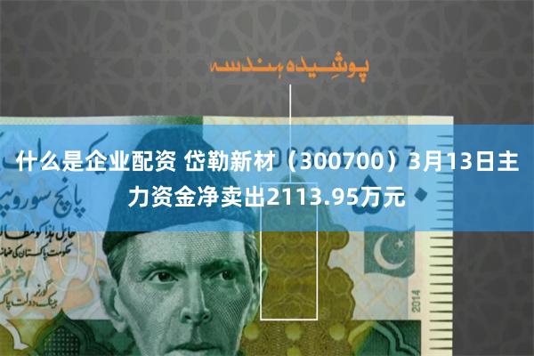 什么是企业配资 岱勒新材（300700）3月13日主力资金净卖出2113.95万元