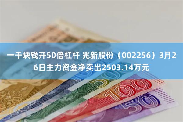 一千块钱开50倍杠杆 兆新股份（002256）3月26日主力资金净卖出2503.14万元