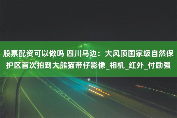 股票配资可以做吗 四川马边：大风顶国家级自然保护区首次拍到大熊猫带仔影像_相机_红外_付励强