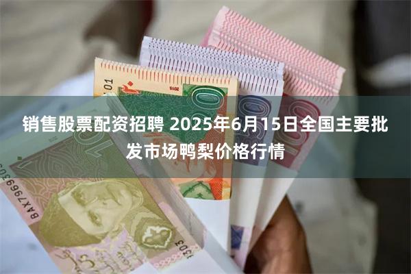 销售股票配资招聘 2025年6月15日全国主要批发市场鸭梨价格行情