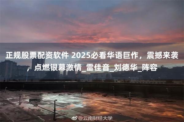 正规股票配资软件 2025必看华语巨作，震撼来袭，点燃银幕激情_雷佳音_刘德华_阵容