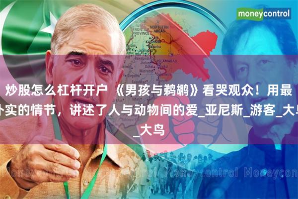 炒股怎么杠杆开户 《男孩与鹈鹕》看哭观众！用最朴实的情节，讲述了人与动物间的爱_亚尼斯_游客_大鸟